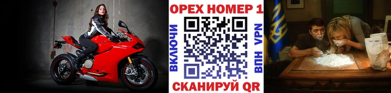 Cocaine Эквадор  blacksprut как войти  Сокол  где купить наркоту 