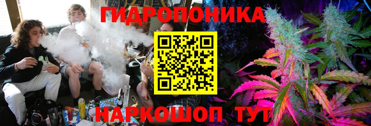 МАРИХУАНА план Сокол